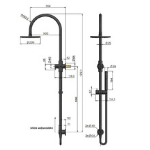 Round Gooseneck 200mm Twin Shower With Single Function Hand Shower